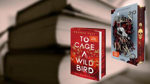 2025-12-11_08-36_collage