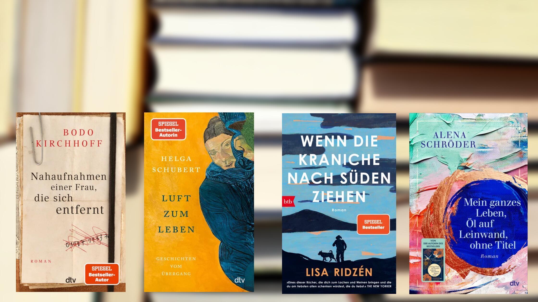 2026-01-29_11-08_collage