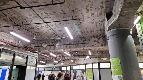 shared image - 2025-09-25T183125