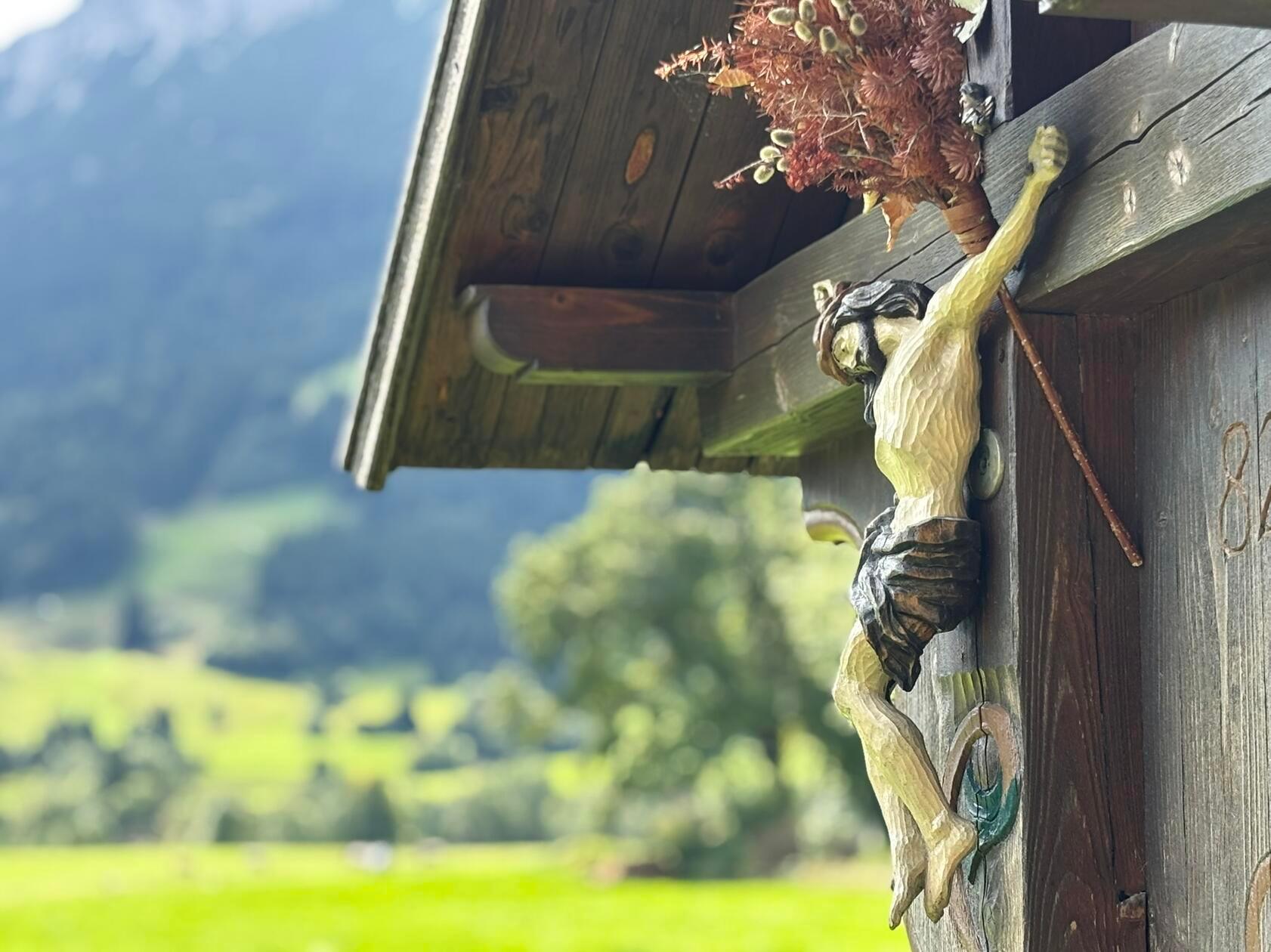 Impression am Wegesrand.