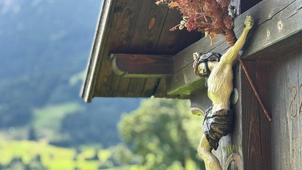 Impression am Wegesrand.