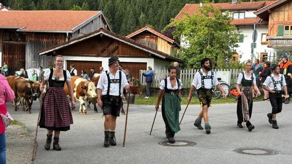 Los gehts, Viescheid-Däg! Mitte September findet traditionell der Abtrieb der Kuhherden von den Sommerweiden zurück ins Tal statt. In Begleitung der Hirten und Hirtinnen geht es unter großem Klimbim zum Festplatz, wo die Herden "geschieden" und ihren Bauern zurückgegeben werden.
