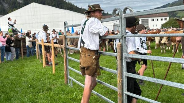 Nicht nur die Kühe sind echte Hingucker.