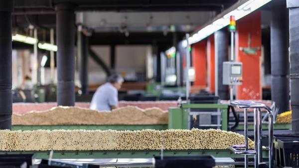 Faber-Castell - Produktion