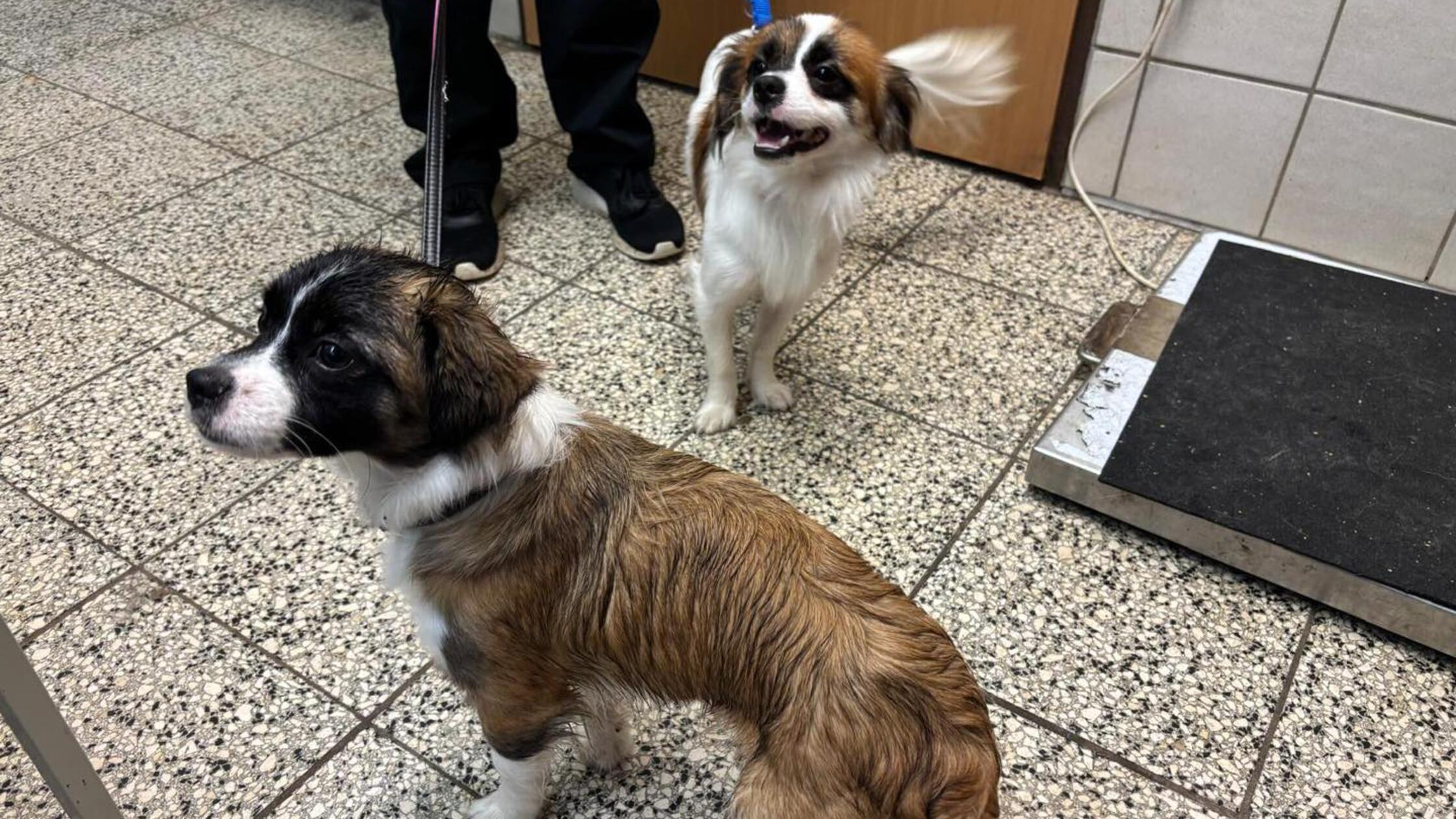 554051832_1217749213731181_9133019156582259408_n