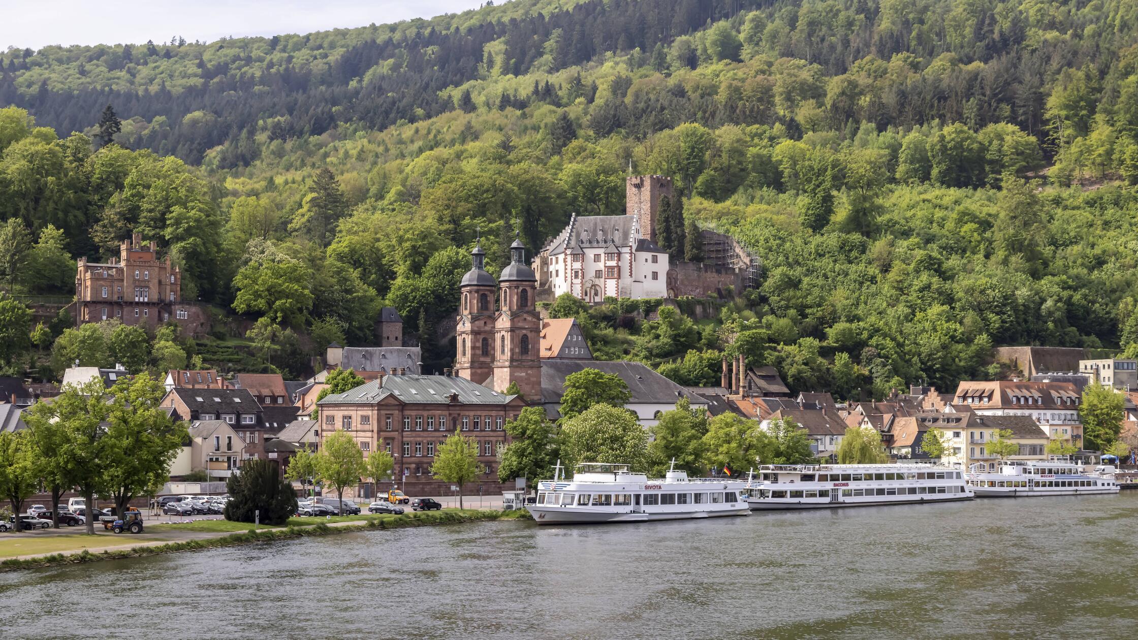 View over the Main to the castle and the old town 