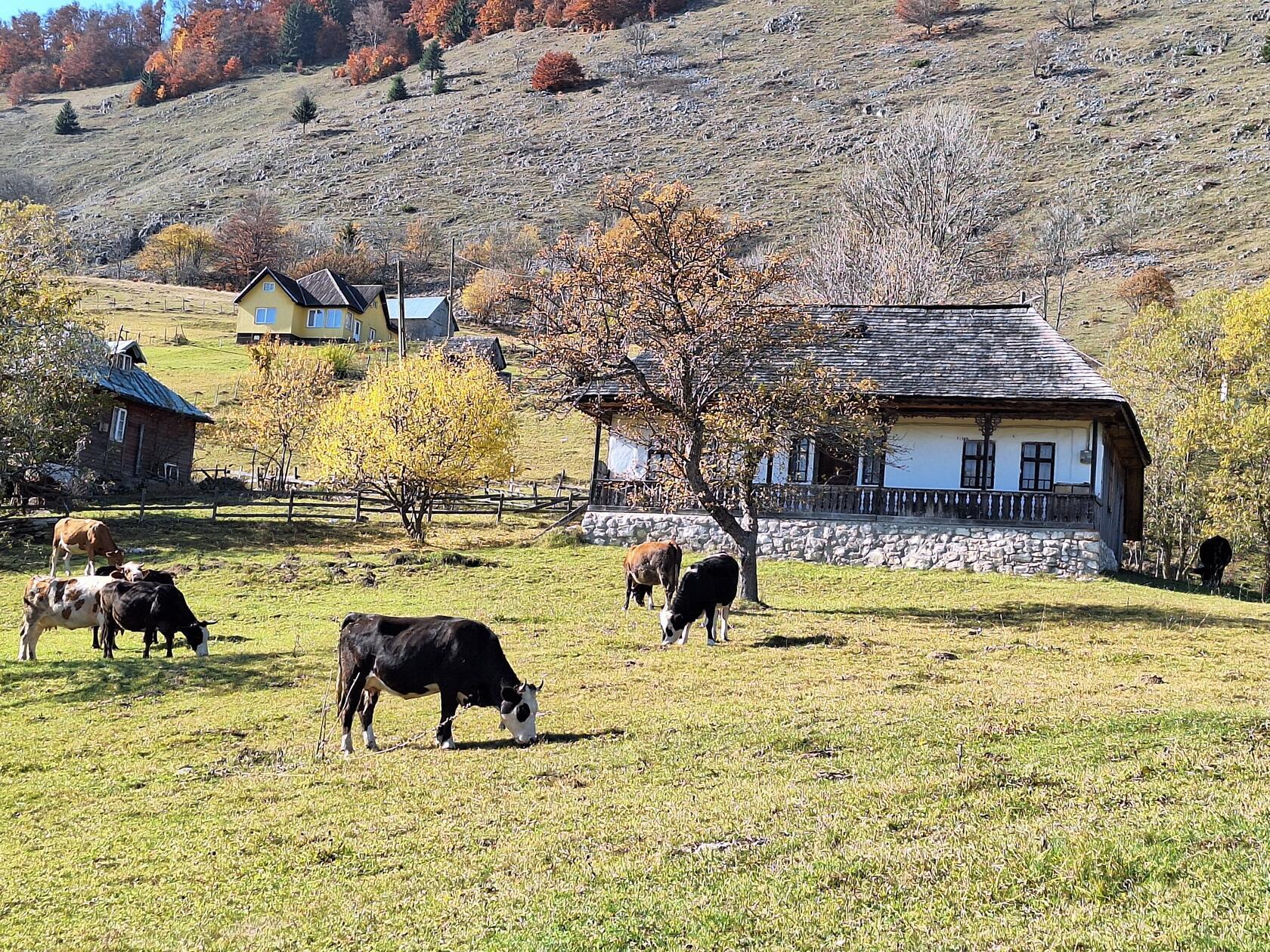 Siebenbürgen ist geprägt von kleinbäuerlicher Landwirtschaft.
