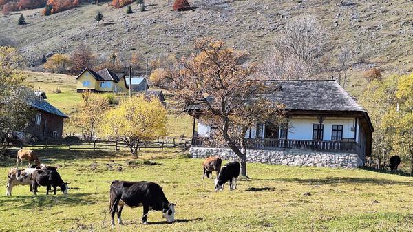 Siebenbürgen ist geprägt von kleinbäuerlicher Landwirtschaft.