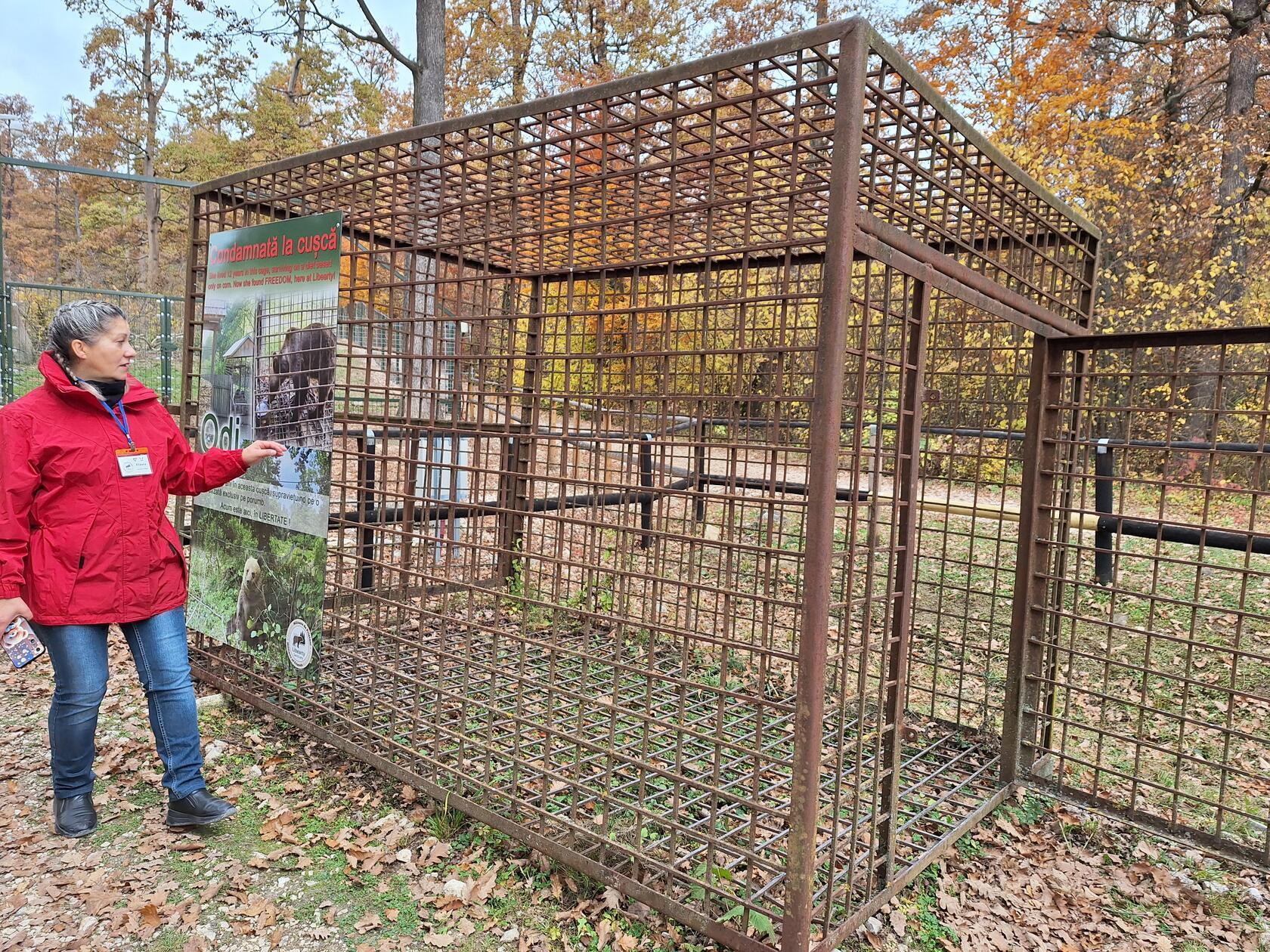Die Bären wurden von ihren Besitzern oft unter qualvollen Bedingungen gehalten. Die Führerin zeigt einen Käfig, in dem ein Bär jahrelang gefangen gehalten wurde.