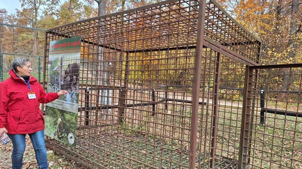 Die Bären wurden von ihren Besitzern oft unter qualvollen Bedingungen gehalten. Die Führerin zeigt einen Käfig, in dem ein Bär jahrelang gefangen gehalten wurde.
