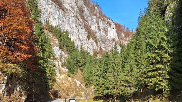 Die Landschaft lädt ein zum Roadtrip.