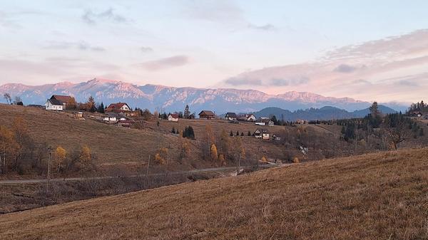 Das Abendlicht erzeugt eine magische Stimmung.