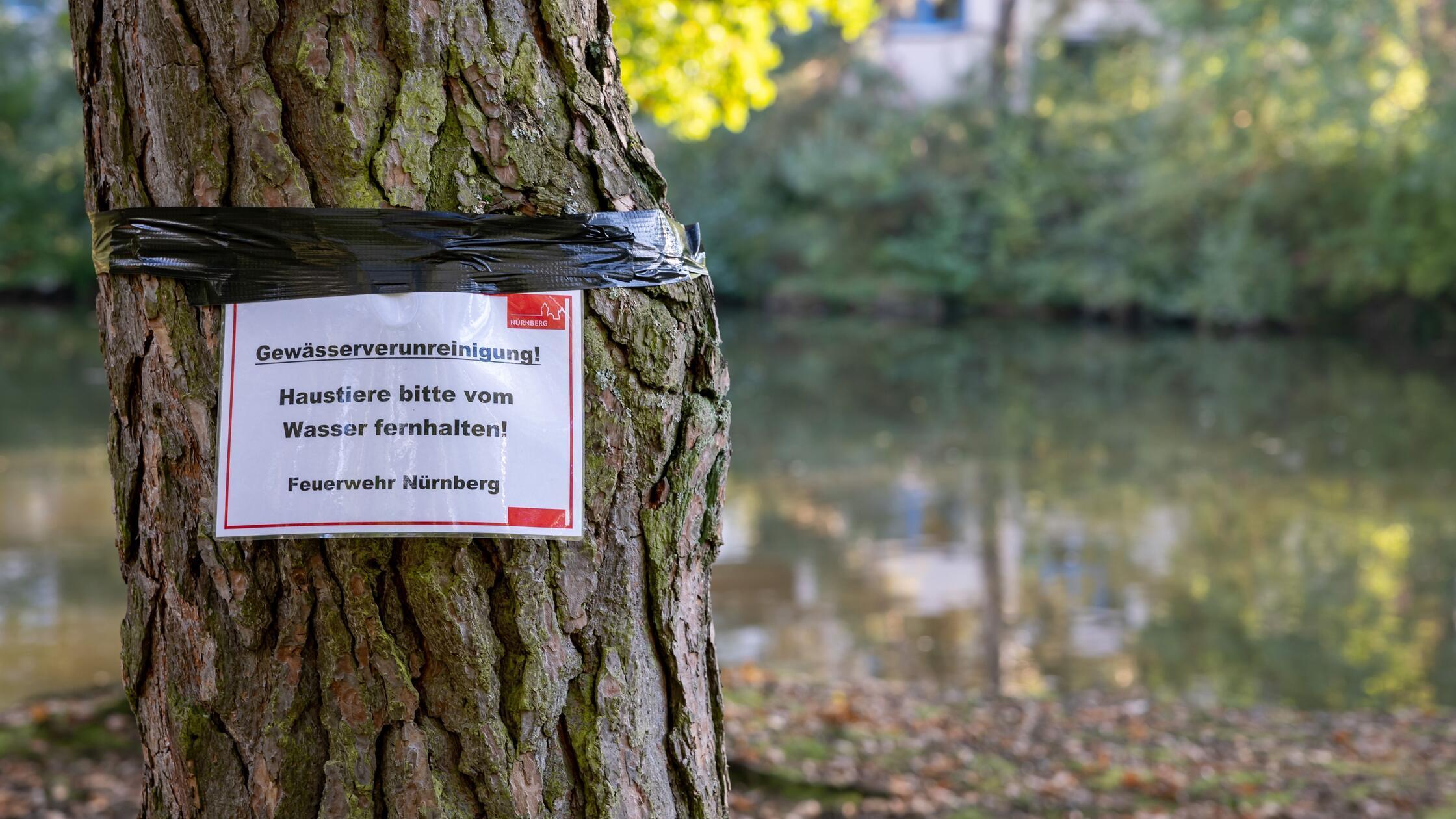 Langwassersee in Nürnberg verunreinigt12589.jpg