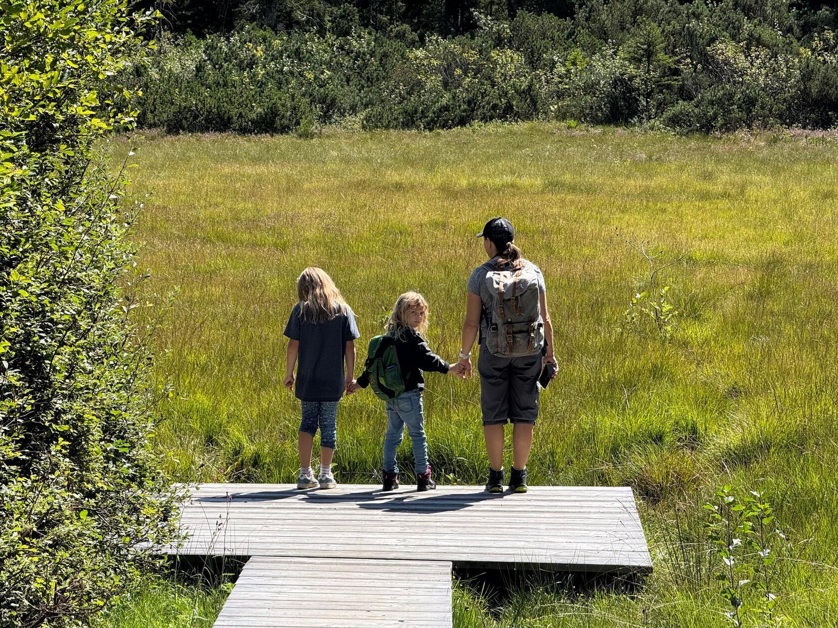 Hochmoore wie hier unterscheiden sich im Aussehen sehr von den Mooren im Flachland.