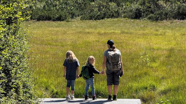Hochmoore wie hier unterscheiden sich im Aussehen sehr von den Mooren im Flachland.