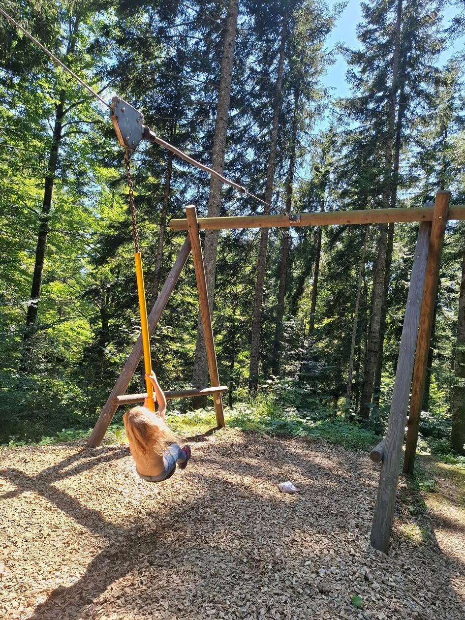 Tarzanschaukel mitten im Wald auf dem Moor & more-Erlebnisweg. Ein großes Vergnügen für Kinder.