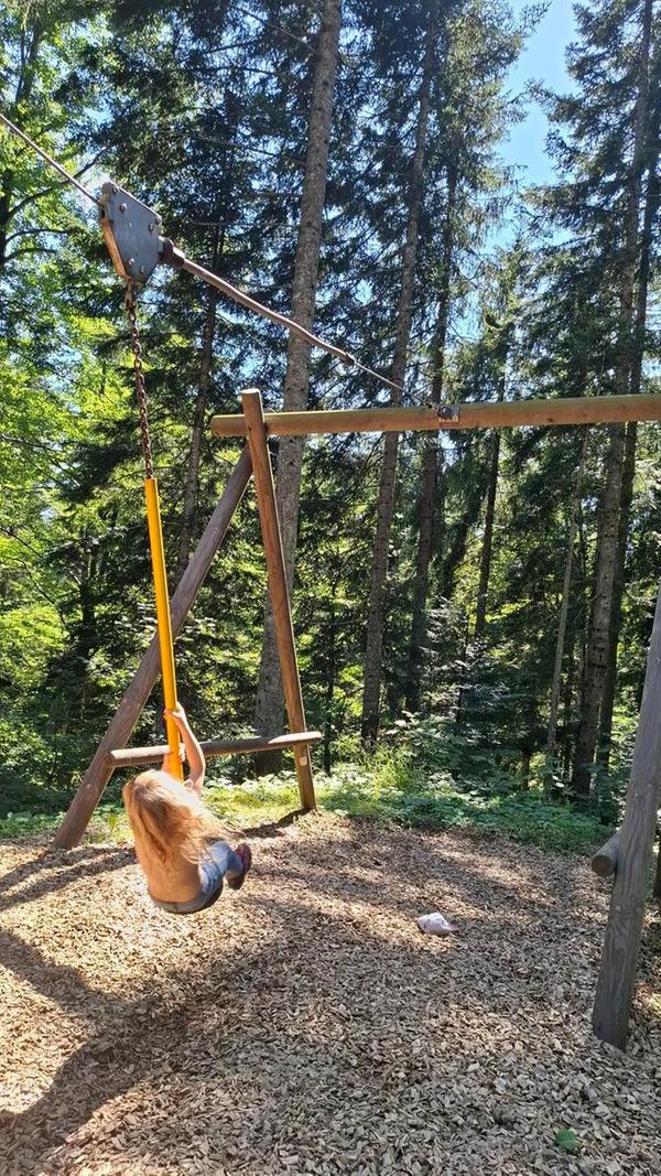 Tarzanschaukel mitten im Wald auf dem Moor & more-Erlebnisweg. Ein großes Vergnügen für Kinder.