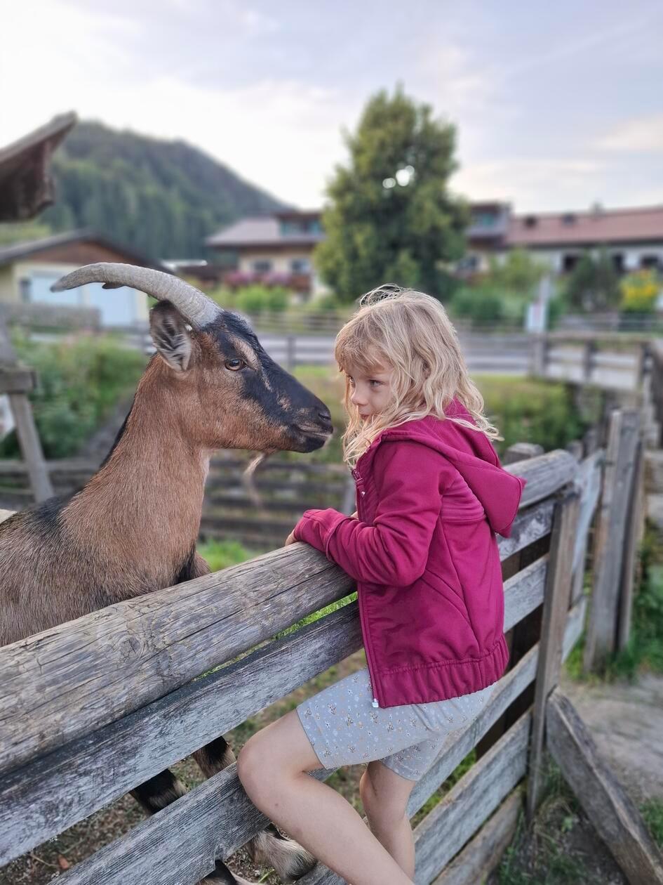 Und wer einfach entspannen möchte auf dem Hof: Es gibt dort unter anderem ein Ziegenstreichelgehege mit wirklich lieben Ziegen.