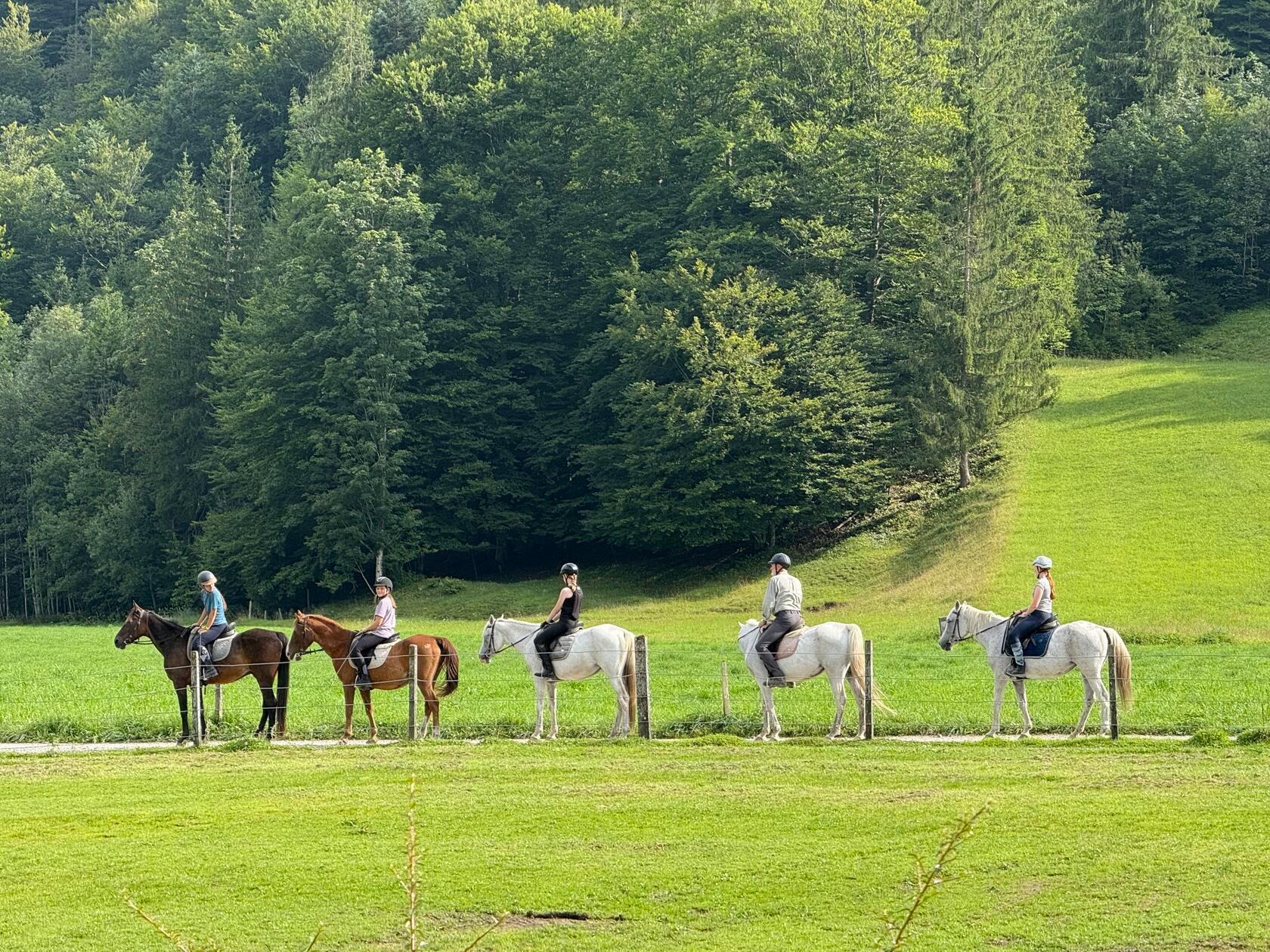 Geübte Reiterinnen und Reiter können sogar Ausritte rund um den Hof machen.