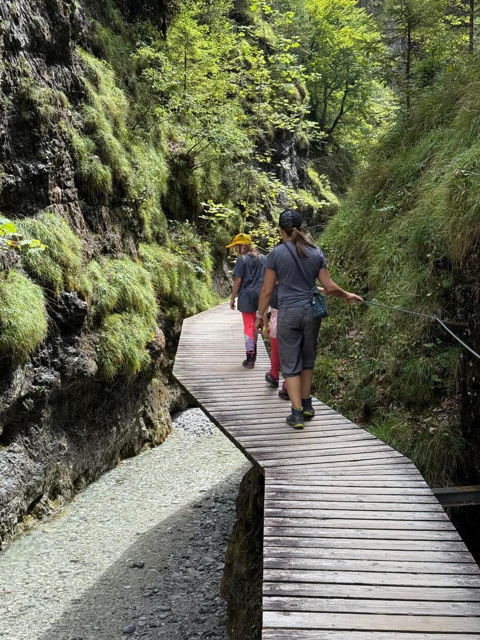 Trittsicherheit ist auf jeden Fall gefragt. Dann steht dem unvergesslichen Tag in der Griesbachklamm nichts mehr im Weg: Das Angebot ist kostenlos: Am dazugehörigen Parkplatz werden jedoch sechs Euro Parkgebühr fällig.