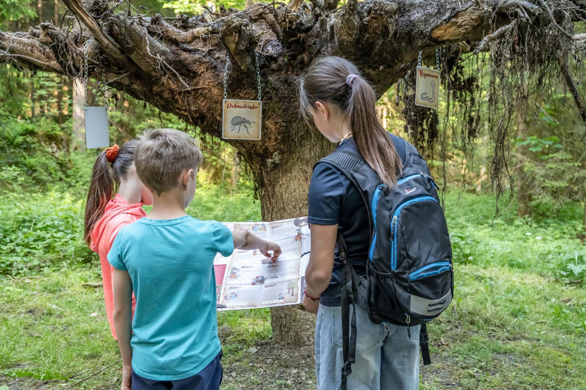 Das Abenteuer beginnt am kunterbunten Spielplatz beim Bichlachbad am Alfons-Walde-Weg 4 in Oberndorf und geht über acht Stationen. Das Angebot ist kostenlos und auch für Familien mit Kinderwagen geeignet.