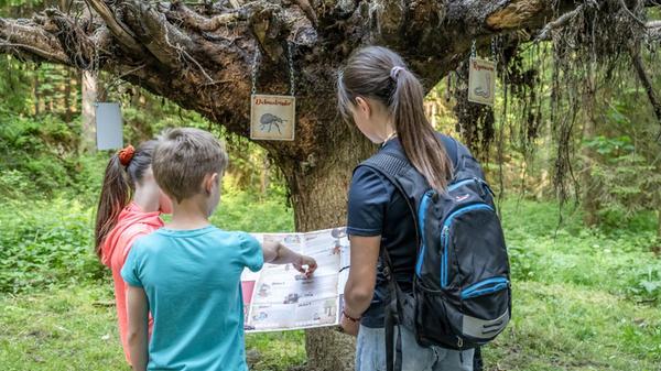 Das Abenteuer beginnt am kunterbunten Spielplatz beim Bichlachbad am Alfons-Walde-Weg 4 in Oberndorf und geht über acht Stationen. Das Angebot ist kostenlos und auch für Familien mit Kinderwagen geeignet.