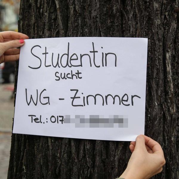 Wohnungsgesuche von Studenten an Anschlagsäule und