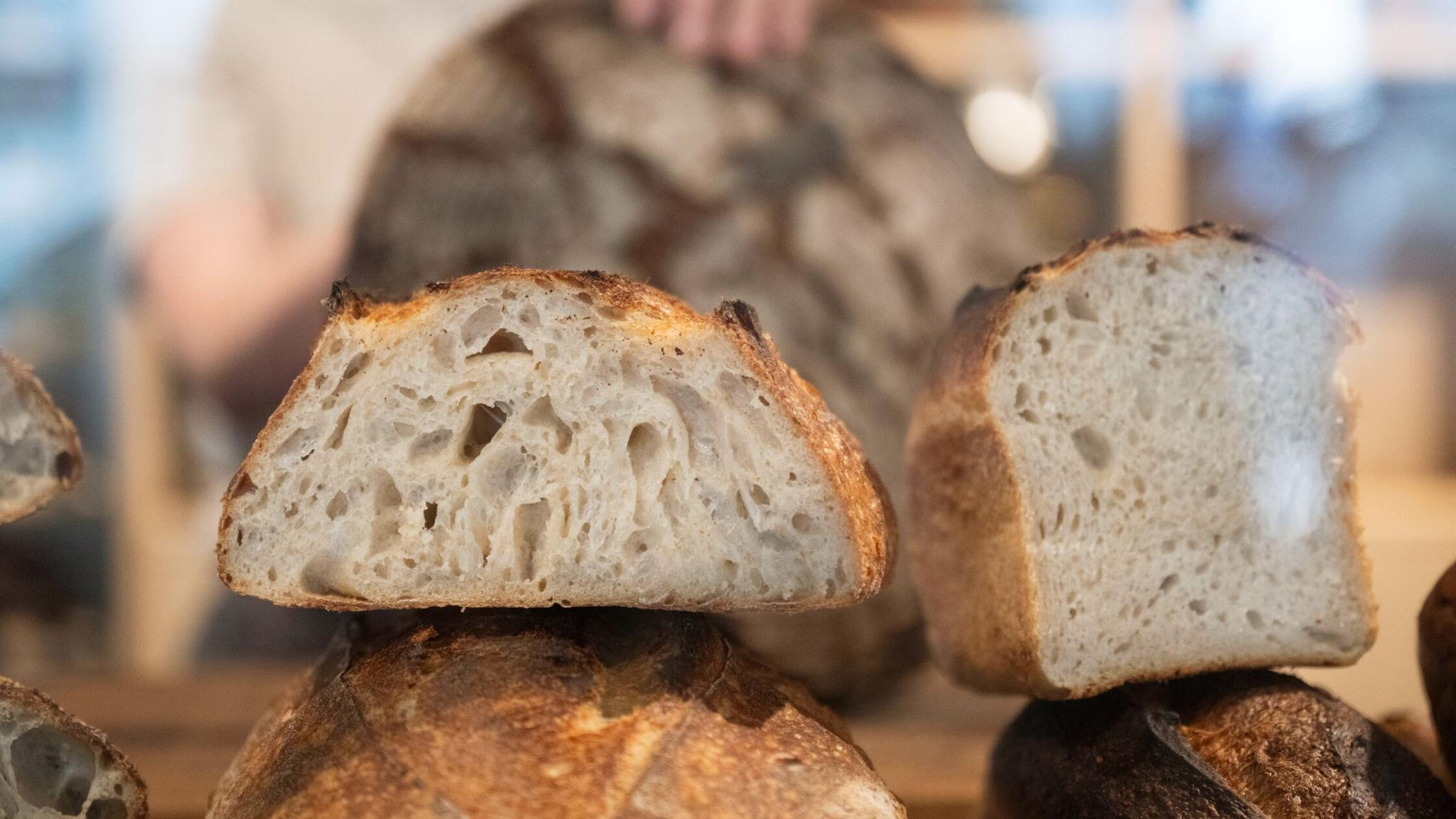 Ist das der Taylor-Swift-Effekt? Sauerteig erlebt weltweit einen Höhenflug