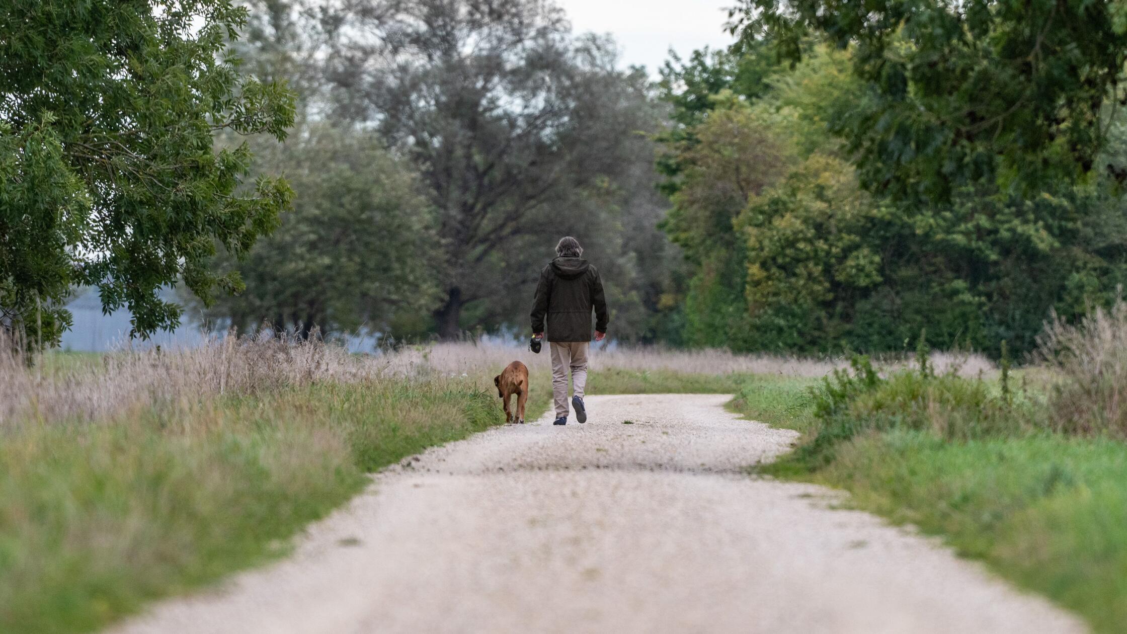 DWD warnt vor schlechter Sicht wegen Nebel: Wetter in Franken bleibt weiter trüb