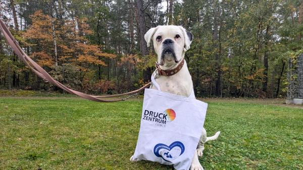 Screenshot 2025-10-12 193209