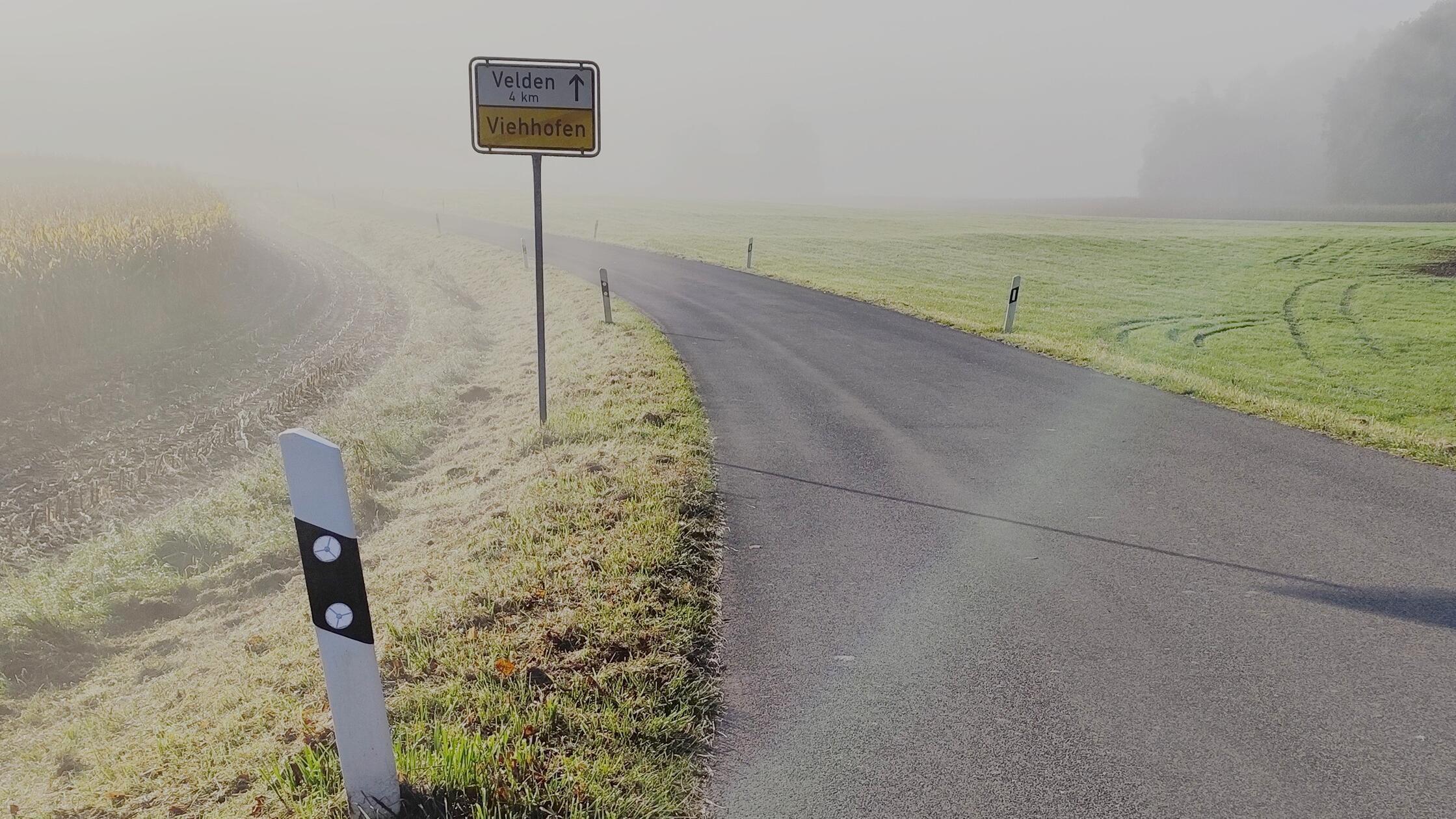 Straße nach Viehhofen 06