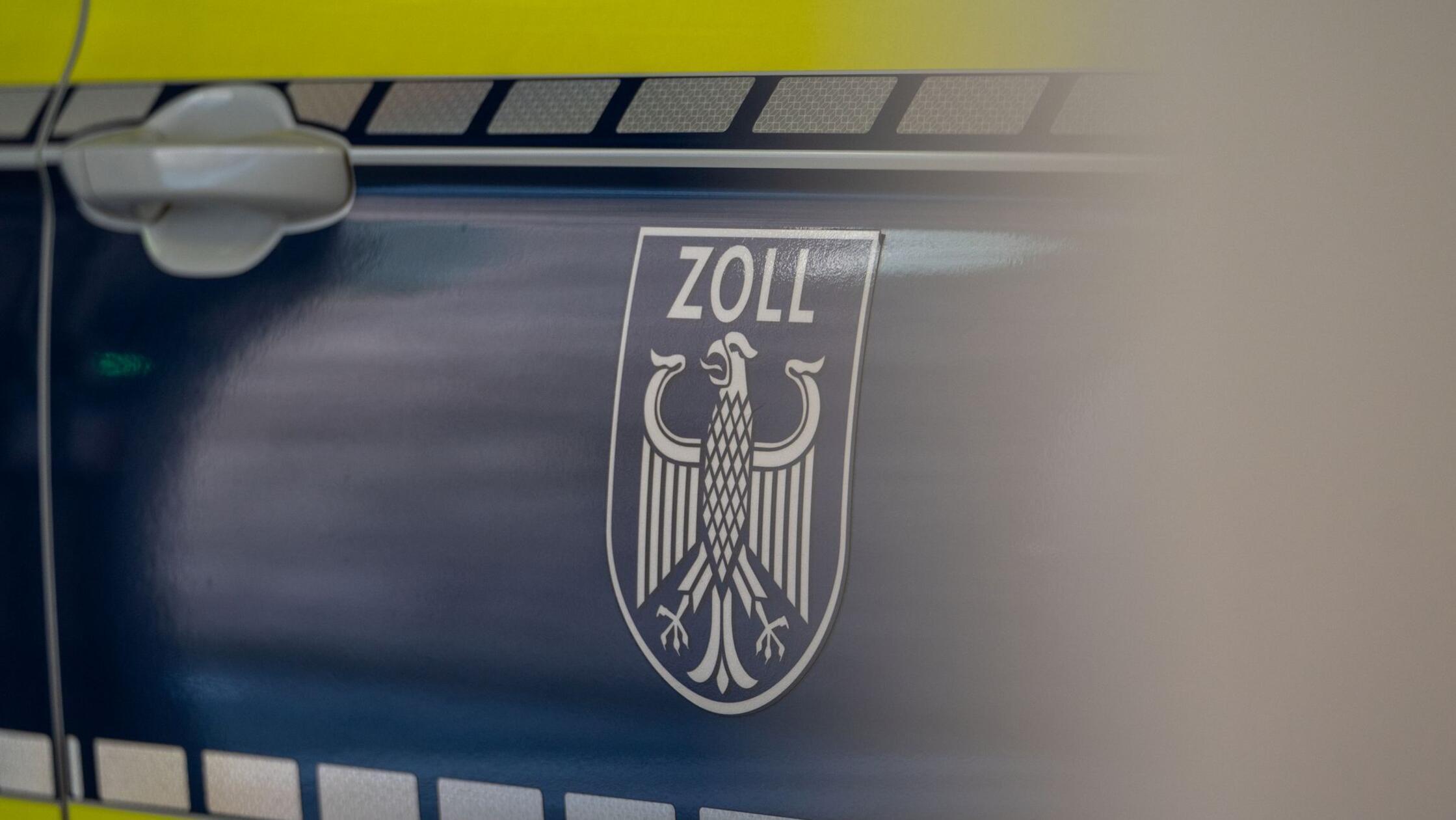 Zoll findet sieben lebende Schildkröten in Eiscremeboxen