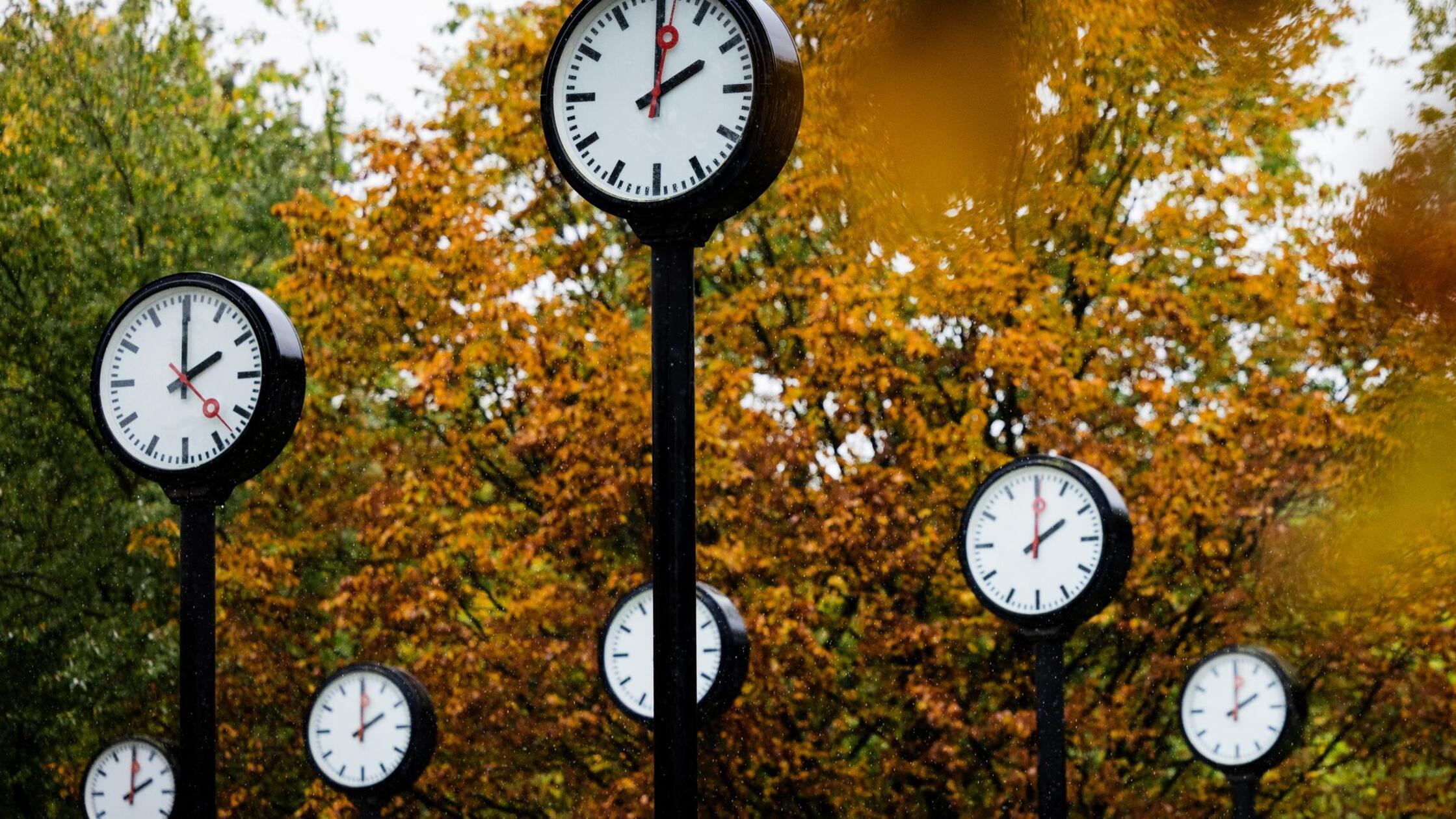 Die Uhren im Zeitfeld des Künstlers Klaus Rinke ze