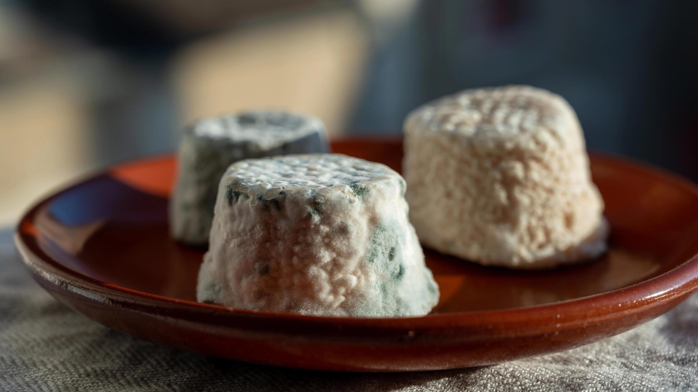 Small french goat cheeses, matured and with grey m