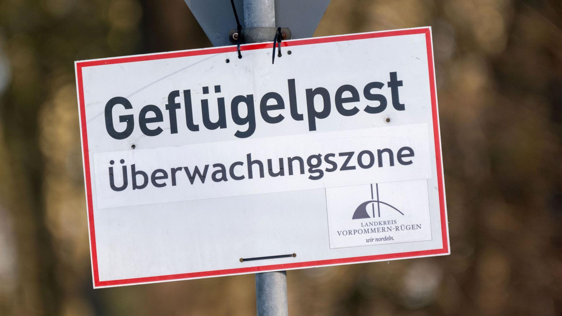 Vogelgrippe erreicht neues Level: Rund 15.000 Tiere werden an Grenze zu Bayern getötet