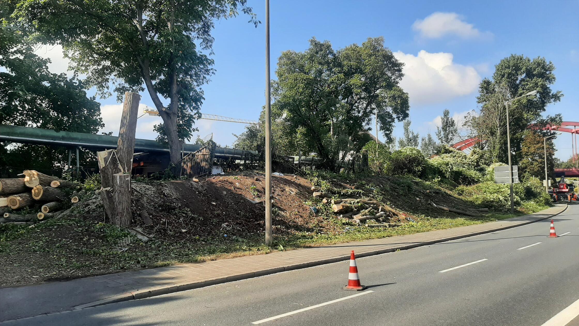 Rodungen_FSW_04_Tom_Konopka_20251002