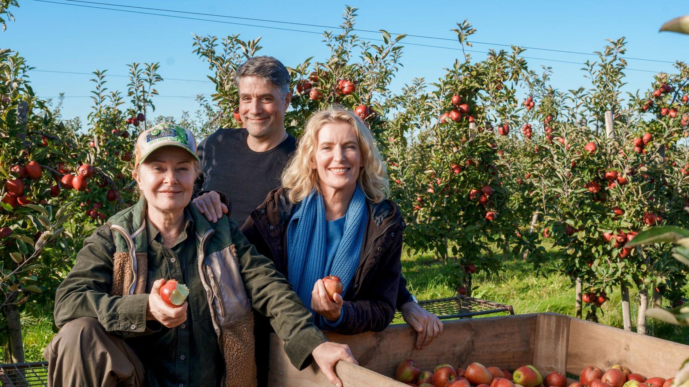 Furtwängler-„Tatort“: Kopflos im Alten Land