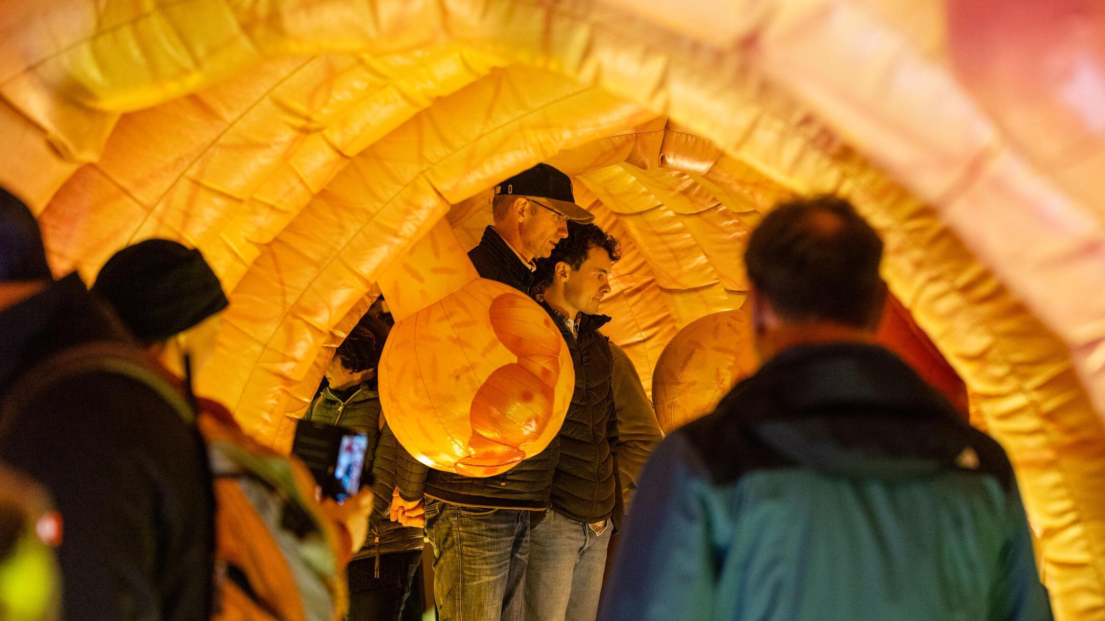 Lange Nacht der Wissenschaften