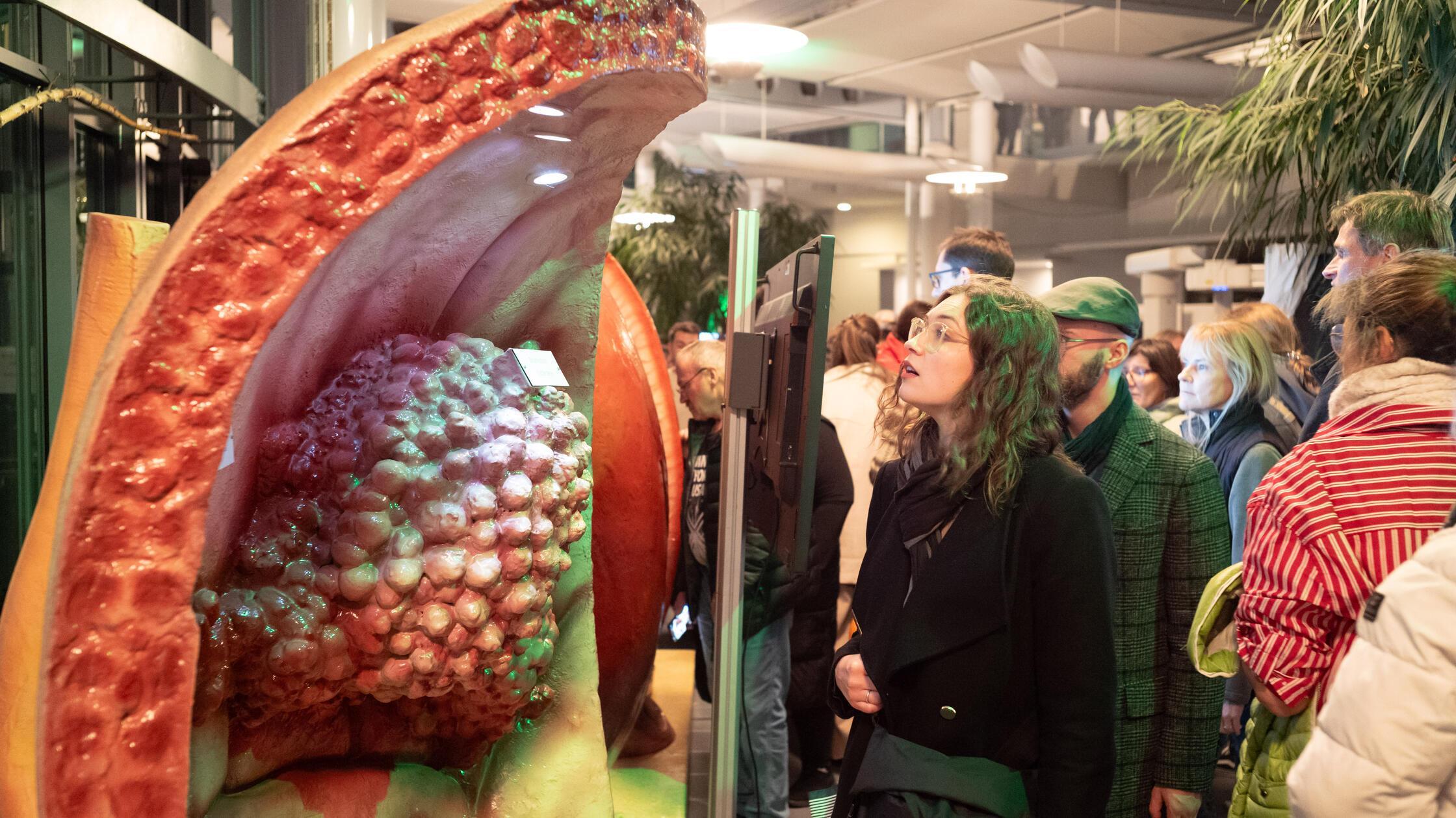 Die Lange Nacht der Wissenschaften in Erlangen 202