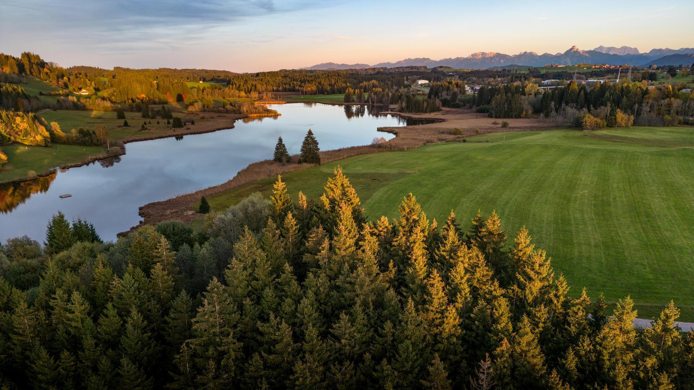 Schwarzenberger_Weiher_Hintergrund Säuling Drohne_