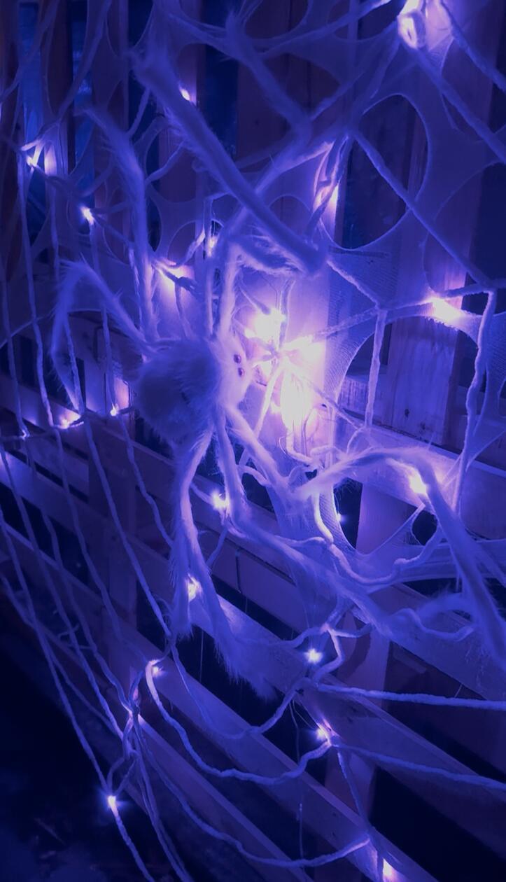 Kinder können dort zwischen 16 Uhr und 18 Uhr durchlaufen, von 18 Uhr bis 22 Uhr ist das Labyrinth durch Live-Erschrecker um einiges gruseliger.