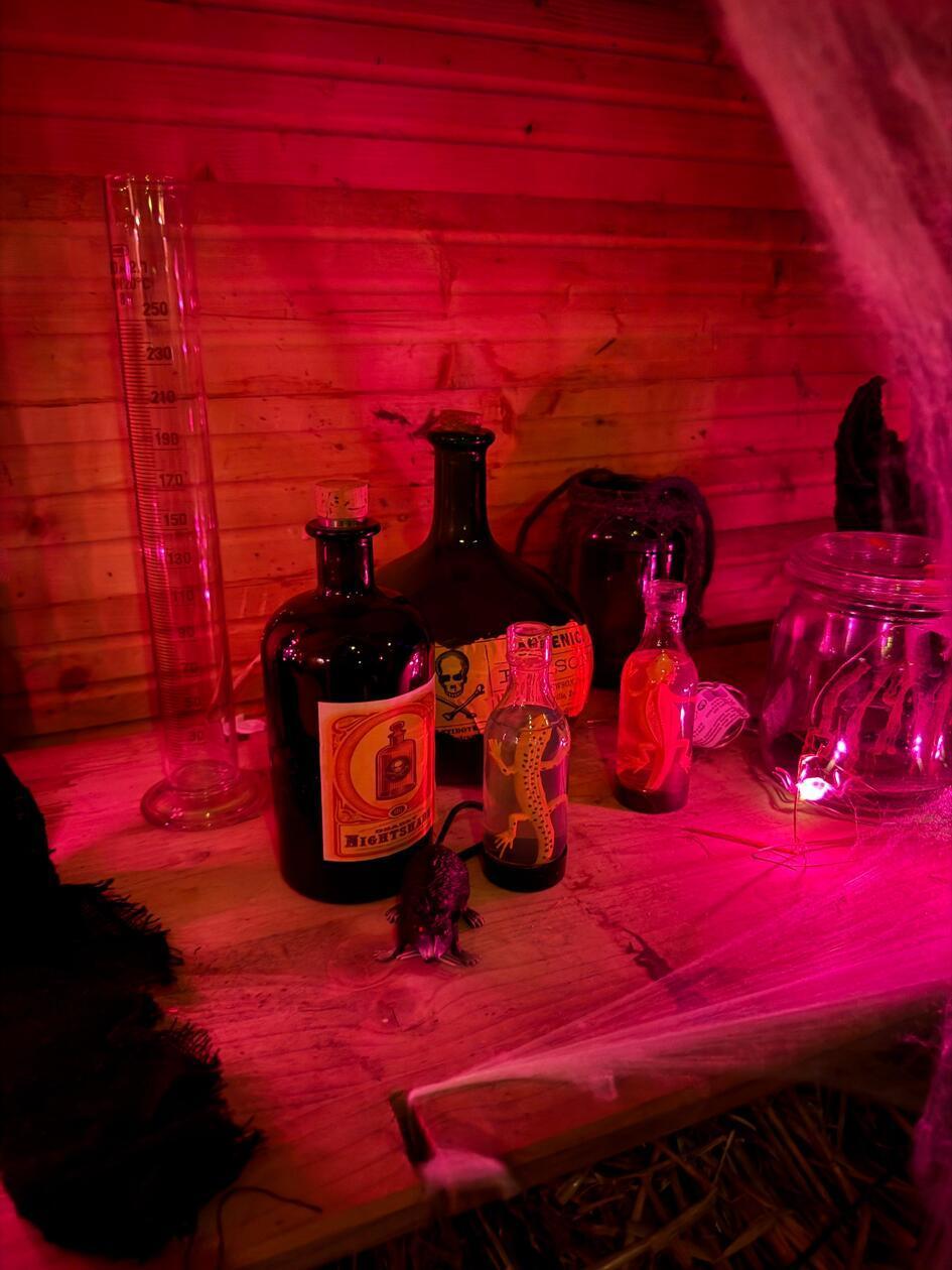 Das gruselige Labyrinth ist mit viel Liebe zum Detail dekoriert.