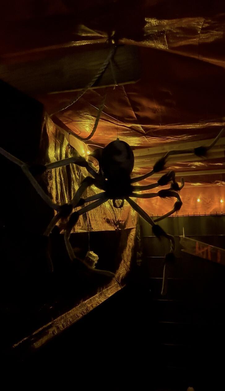 Auch Spinnen dürfen in einem Grusel-Labyrinth nicht fehlen.