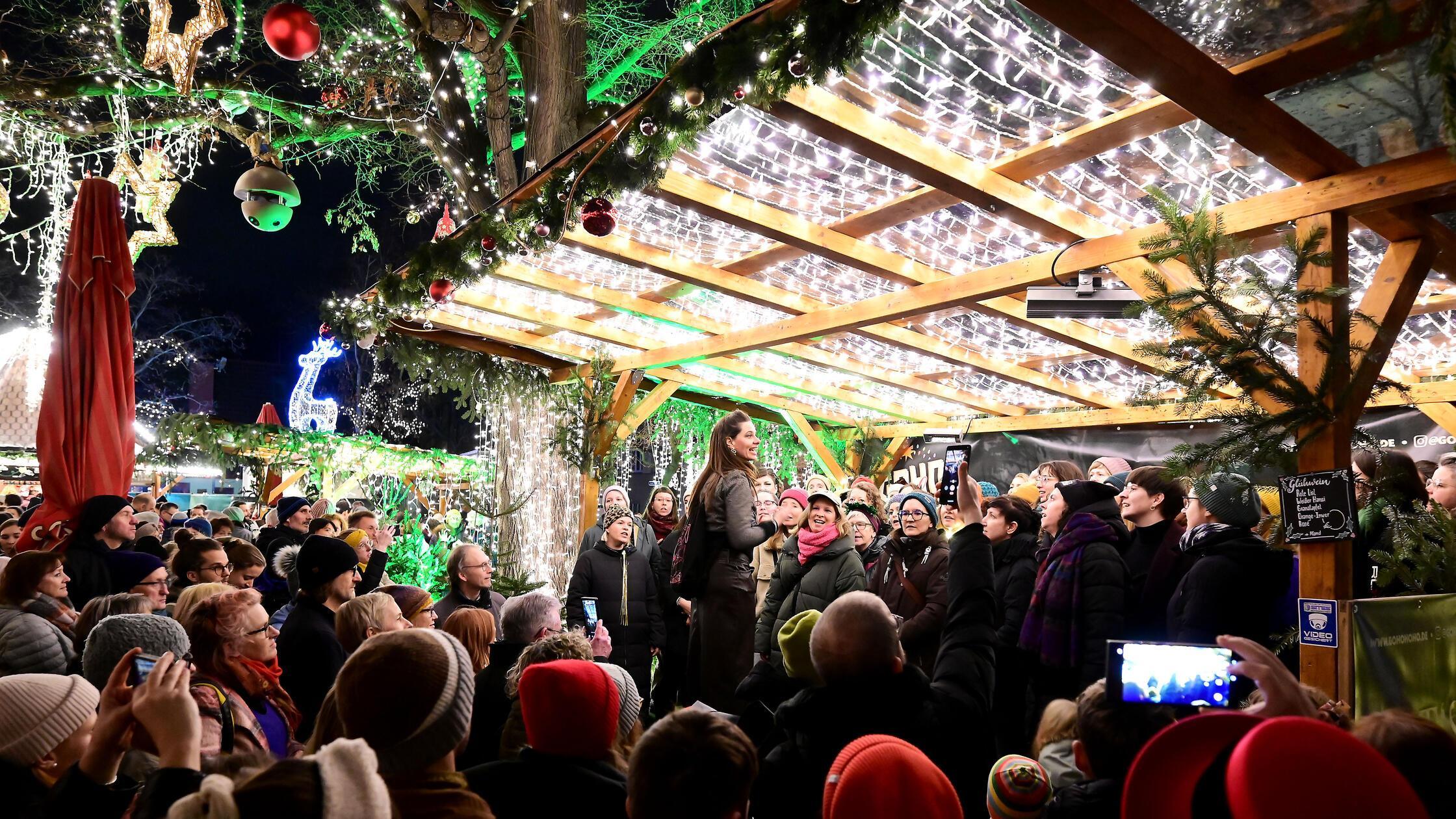 goho-hoho_hjw_181224_009