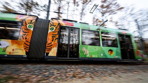 Vorstellung Tiergarten Straßenbahn