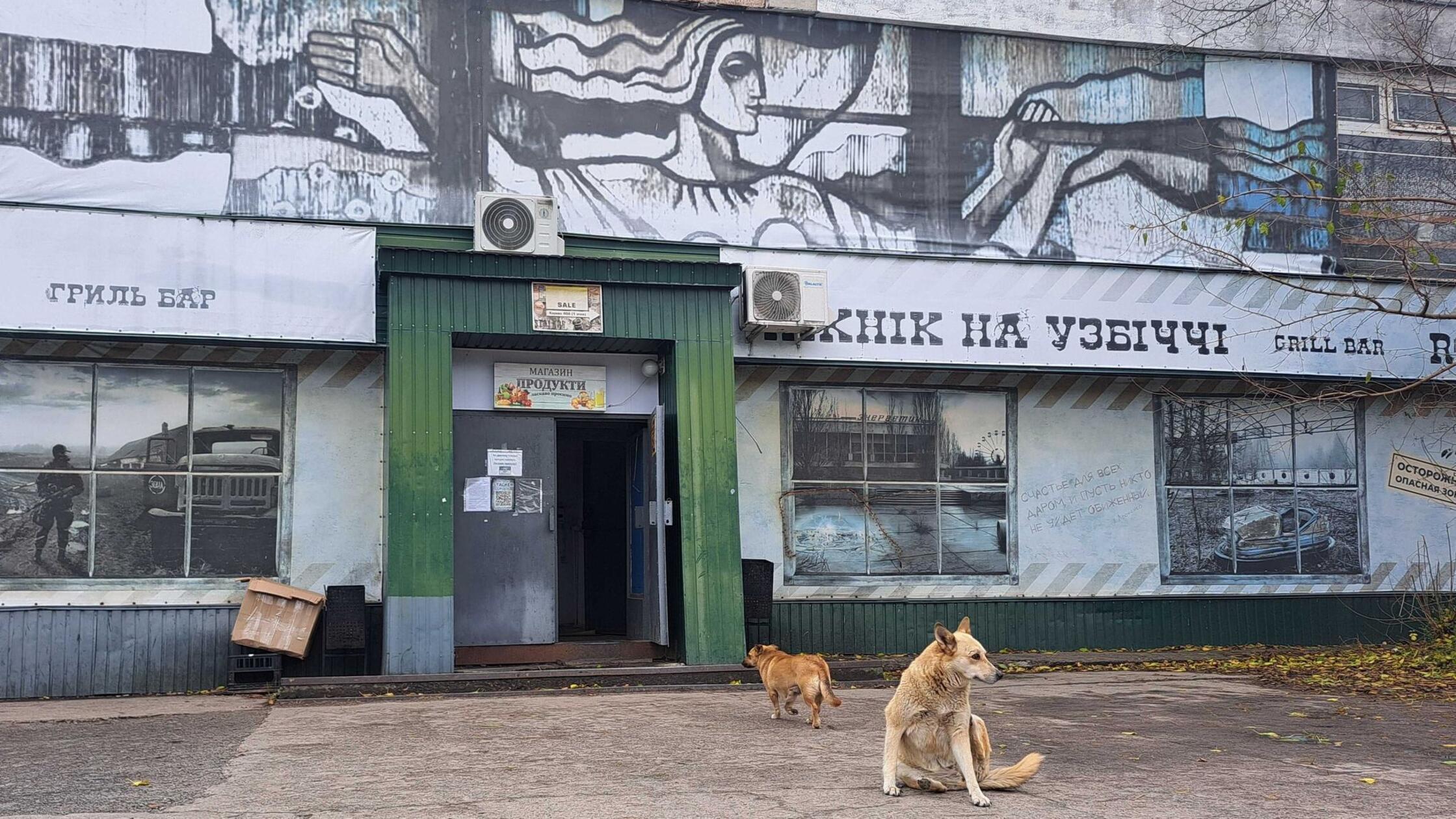Rätsel um blaue Hunde in Tschernobyl ist gelöst