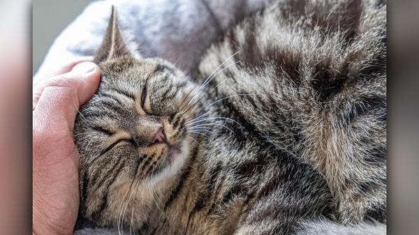 2025-11-04_11-32_bild_erweitern