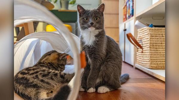 2025-11-04_11-33_bild_erweitern