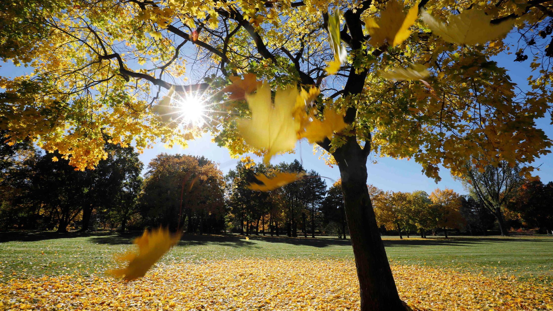 Herbststimmung_hip_241021_20.jpg