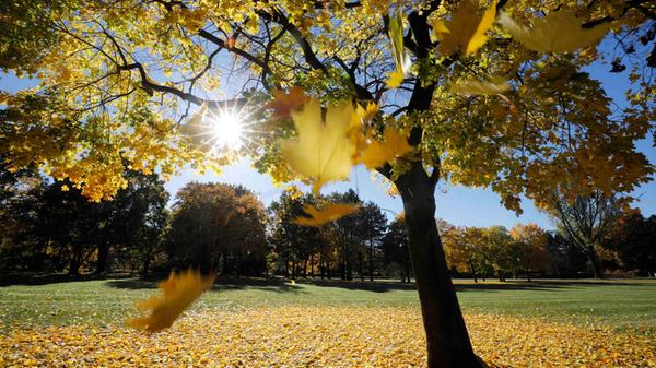 Herbststimmung_hip_241021_20.jpg